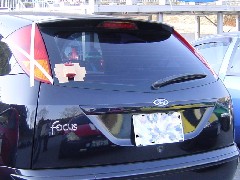 Back